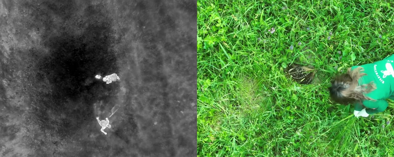 Wärmebildaufnahme aus der Drohnenperspektive